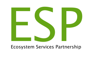 logo very large transparent resize